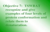 Objective 7: TSWBAT recognize and give examples of four levels of protein conformation and relate them to denaturation.