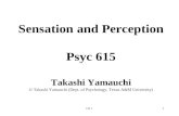 Ch 11 Sensation and Perception Psyc 615 Takashi Yamauchi © Takashi Yamauchi (Dept. of Psychology, Texas A&M University)