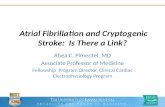 Atrial Fibrillation and Cryptogenic Stroke: Is There a Link? Rhea C. Pimentel, MD Associate Professor of Medicine Fellowship Program Director, Clinical.