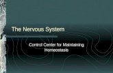 The Nervous System Control Center for Maintaining Homeostasis.