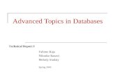 Advanced Topics in Databases Fahime Raja Niloofar Razavi Melody Siadaty Spring 2005 Technical Report I.