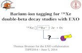 Barium-ion tagging for 136 Xe double-beta decay studies with EXO Thomas Brunner for the EXO collaboration TIPP2014 – June 5, 2014 136 Xe  136 Ba ++ +