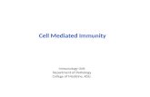 Cell Mediated Immunity Immunology Unit Department of Pathology College of Medicine, KSU.