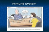 Immune System. An open wound allows ‘germs’ to enter the body.