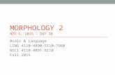 MORPHOLOGY 2 NOV 6, 2015 – DAY 30 Brain & Language LING 4110-4890-5110-7960 NSCI 4110-4891-6110 Fall 2015.