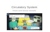 Circulatory System heart and blood vessels. Systemic Circulation – delivers blood to all body cells and carries away waste Pulmonary Circulation – eliminates.