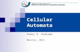 Cellular Automata Pedro R. Andrade Münster, 2013.