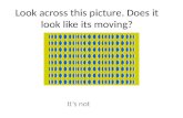 Look across this picture. Does it look like its moving? It’s not.