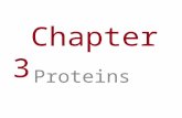 Chapter 3 Proteins. You Must Know How the sequence and subcomponents of proteins determine their properties. The cellular functions of proteins. (Brief.