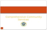 1 Comprehensive Community Services. CCS website 2 .