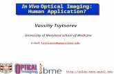 Http://oilab.seas.wustl.edu -- 1 In Vivo Optical Imaging: Human Application? Vassiliy Tsytsarev University of Maryland school.