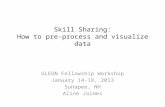 Skill Sharing: How to pre-process and visualize data GLEON Fellowship Workshop January 14-18, 2013 Sunapee, NH Aline Jaimes.