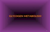GLYCOGEN METABOLISM 1. Glycogen Structure Most of the glucose residues in glycogen are linked by  -1,4-glycosidic bonds. Branches at about every tenth.