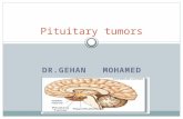 DR.GEHAN MOHAMED Pituitary tumors. What is a Pituitary tumor? The pituitary gland is a pea sized endocrine gland located at the base of the brain. A pituitary.