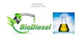 BIODIESEL December 2015. Biodiesel What…. Why…….. How………. What…. Why…….. How……….