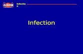 Infection International Infection. International Objectives definition predisposing factors pathophysiology clinical features sites of postpartum infection.