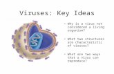 Viruses: Key Ideas Why is a virus not considered a living organism? What two structures are characteristic of viruses? What are two ways that a virus can.