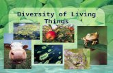 Diversity of Living Things Taxonomy The biosphere is the part of Earth that is inhabited by living organisms Biologists estimate about 30-100 million.