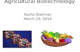 Agricultural Biotechnology Sacha Stallman March 23, 2014.