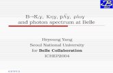 B  K   p  and photon spectrum at Belle Heyoung Yang Seoul National University for Belle Collaboration ICHEP2004.
