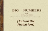 BIG NUMBERS and SMALL NUMBERS (Scientific Notation)