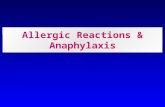 Allergic Reactions & Anaphylaxis. Incidence l In USA - 400 to 800 deaths/year l Parenterally administered penicillin accounts for 100 to 500 deaths per.