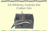 Eli Whitney Invents the Cotton Gin. After his conversation with the Georgia planters, Eli Whitney put aside his plans to study law and instead tinkered.