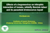 LOGO Effects of a begomovirus on tritrophic interaction of tomato, whitefly Bemisia tabaci and its parasitoid Eretmocerus hayati SIP15 -2014 Yin-Quan Liu.