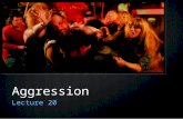 Aggression Lecture 20. Lecture Overview Aggression Approaches to Aggression Television & Violence.