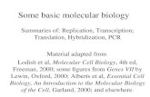 Some basic molecular biology Summaries of: Replication, Transcription; Translation, Hybridization, PCR Material adapted from Lodish et al, Molecular Cell.