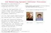 22. Lecture WS 2005/06Bioinformatics III1 V22 Modelling Dynamic Cellular Processes John TysonBela Novak Mathematical description of signalling pathways.