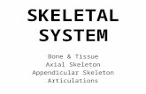 SKELETAL SYSTEM Bone & Tissue Axial Skeleton Appendicular Skeleton Articulations.