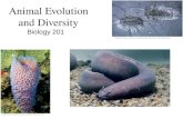 Animal Evolution and Diversity Biology 201. What is Life?