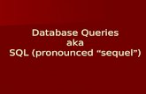 Database Queries aka SQL (pronounced “ sequel ” ).