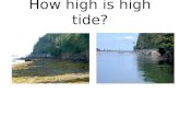 How high is high tide?. High tide Low tide 11.5’ vertical difference The height of the tide is the vertical distance measured from “mean low tide”