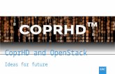 CoprHD and OpenStack Ideas for future. CoprHD in OpenStack: current approach CoprHD as SDS Controller for OpenStack Benefits Phased approach Projects.