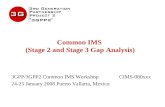 Common IMS (Stage 2 and Stage 3 Gap Analysis) 3GPP/3GPP2 Common IMS Workshop CIMS-080xxx 24-25 January 2008 Puerto Vallarta, Mexico.