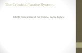 The Criminal Justice System CJS200 Foundations of the Criminal Justice System.