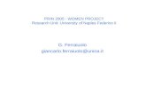 PRIN 2005 - WOMEN PROJECT Research Unit: University of Naples Federico II G. Ferraiuolo giancarlo.ferraiuolo@unina.it.