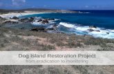 Dog Island Restoration Project from eradication to monitoring.