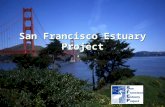 San Francisco Estuary Project. Partners & Organizational Structure THE BAY INSTITUTE Citizens Committee to Complete the Refuge.