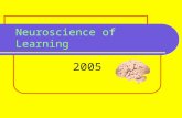 Neuroscience of Learning 2005. What is learning? CHANGING the structure & actions of NEURONS so they HOLD INFORMATION in LONG TERM MEMORY in TEMPORAL.