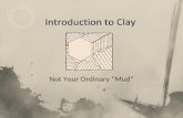 Not Your Ordinary “Mud”. … define clay. … describe the natural process that form clay. … identify primary and secondary clays. … Identify porcelain,