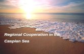 Regional Cooperation in the Caspian Sea. Caspian Environment Programme (CEP) Environmental program initiated by Republic of Azerbaijan, I.R.Iran, Republic.