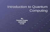Introduction to Quantum Computing By Sumant Gupta 02103029C.S.E.