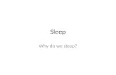 Sleep Why do we sleep?. Sleep is a basic requirement for normal brain function. Lack of sleep  – Mental fatigue, – poor decision-making, – shortened.