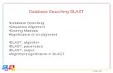 ©CMBI 2005 Database Searching BLAST Database Searching Sequence Alignment Scoring Matrices Significance of an alignment BLAST, algorithm BLAST, parameters.