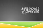 UNITED NATIONS & THE DECLARATION OF HUMAN RIGHTS ACS 11.