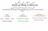 طرق العيش في البكتيريا Mode of living in Bacteria يمكن ان تصنف البكتيريا نظرا لمتطلبات الاكسجين إلى : Considering the oxygen