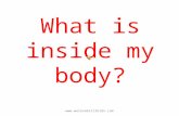 What is inside my body?  Our body is made up of many different parts, big and small. .